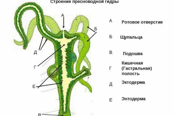 Кракен 2krn