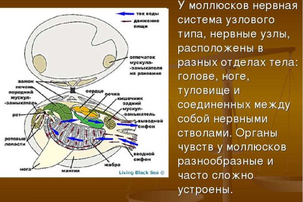 Кракен сайт krk market com